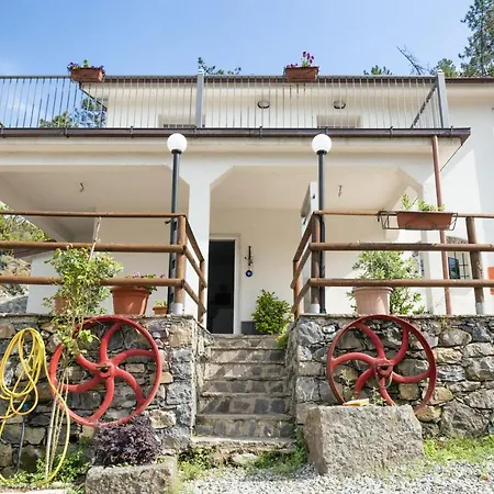 Emily Holiday home *