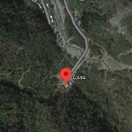 Emily * 弗拉穆拉